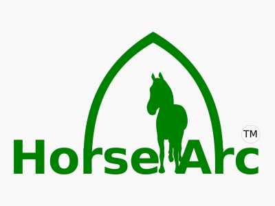 Horse Arc - a webVR case study